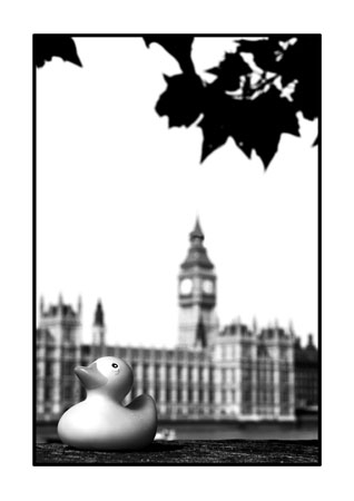 black & white photograph