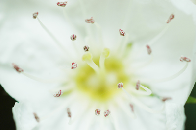 reportage photographer