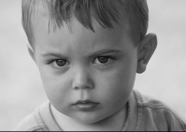 professional photographer